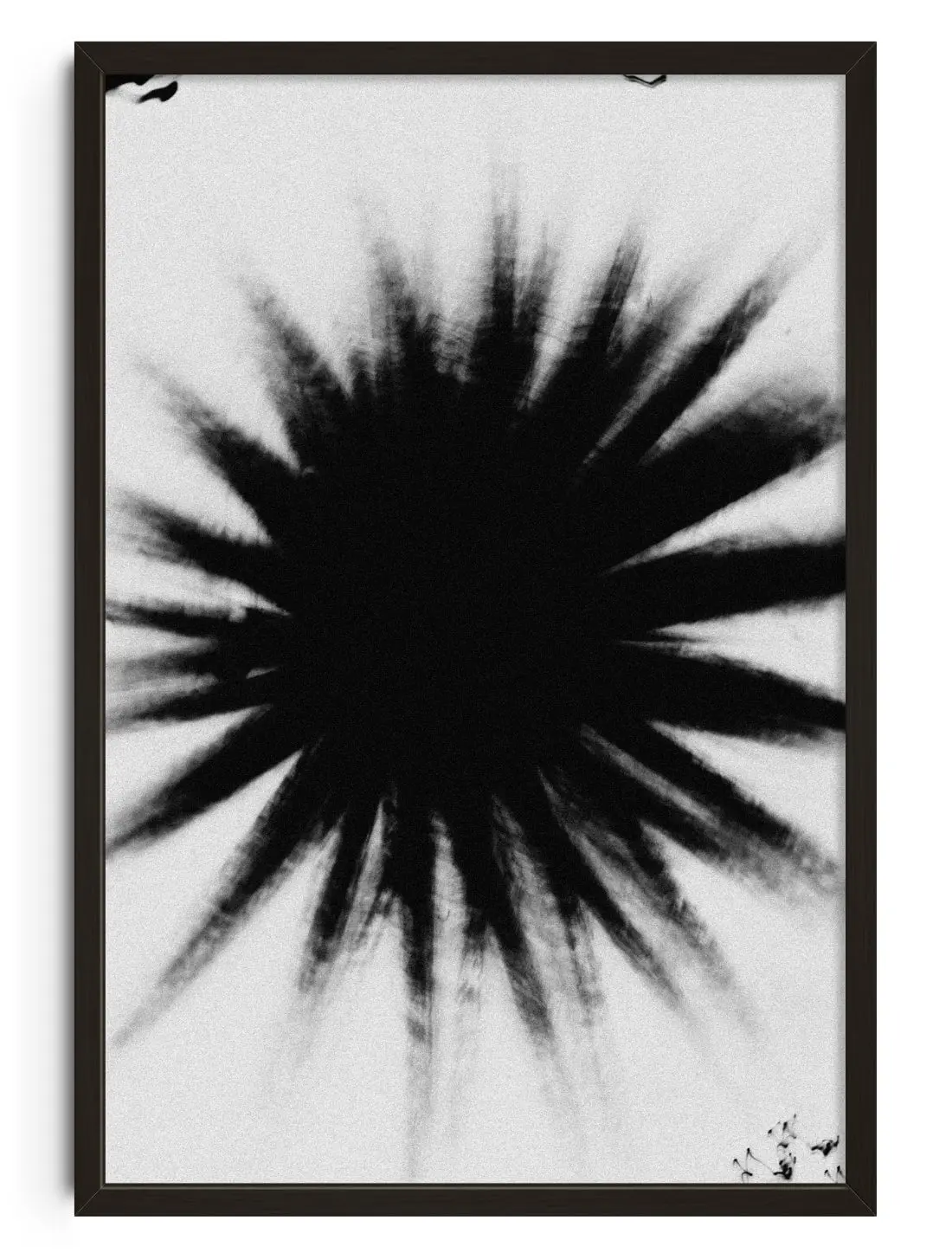 28685-black-star-1.webp Black Star