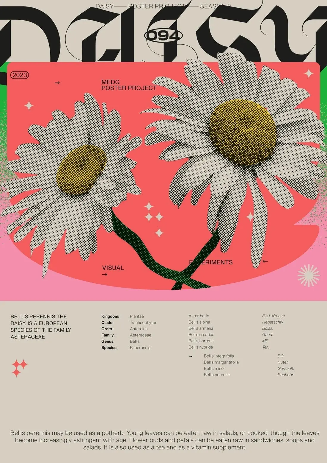Daisy