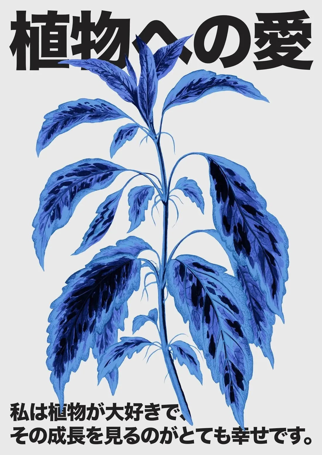 Plant Love 2