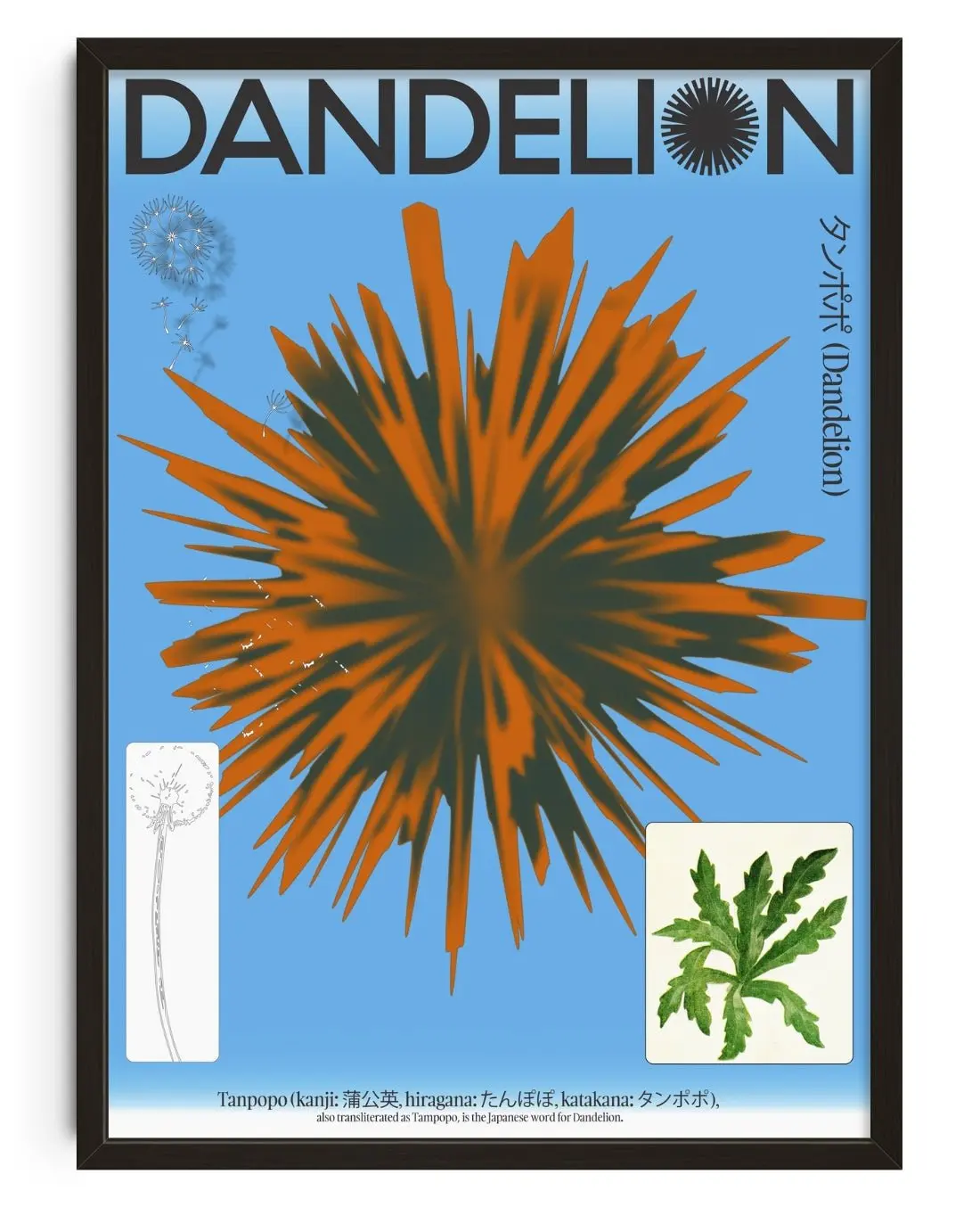 33291-dandelion-1.webp Dandelion