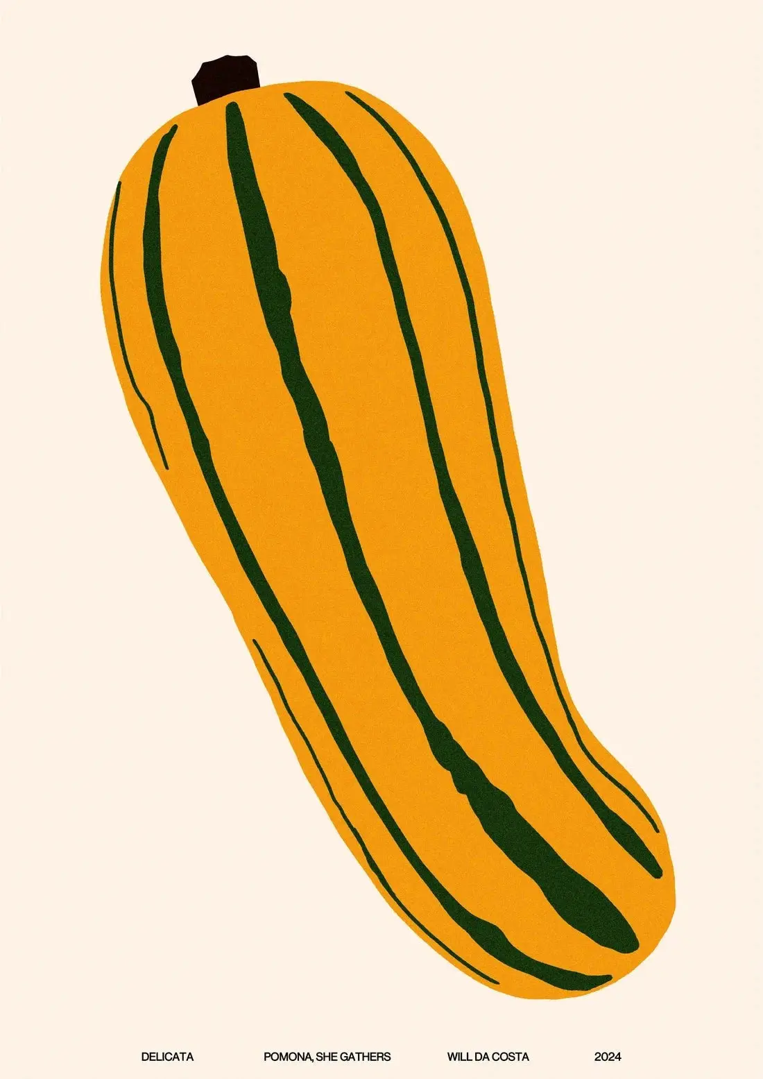 Delicata