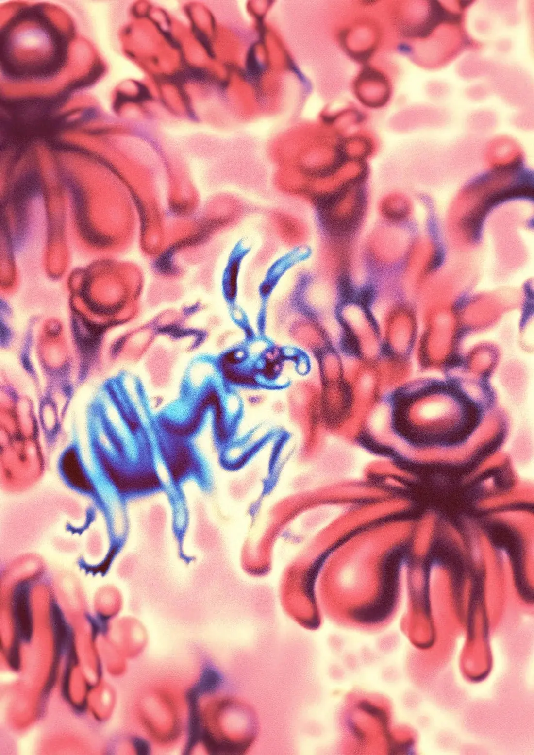 Hormiga