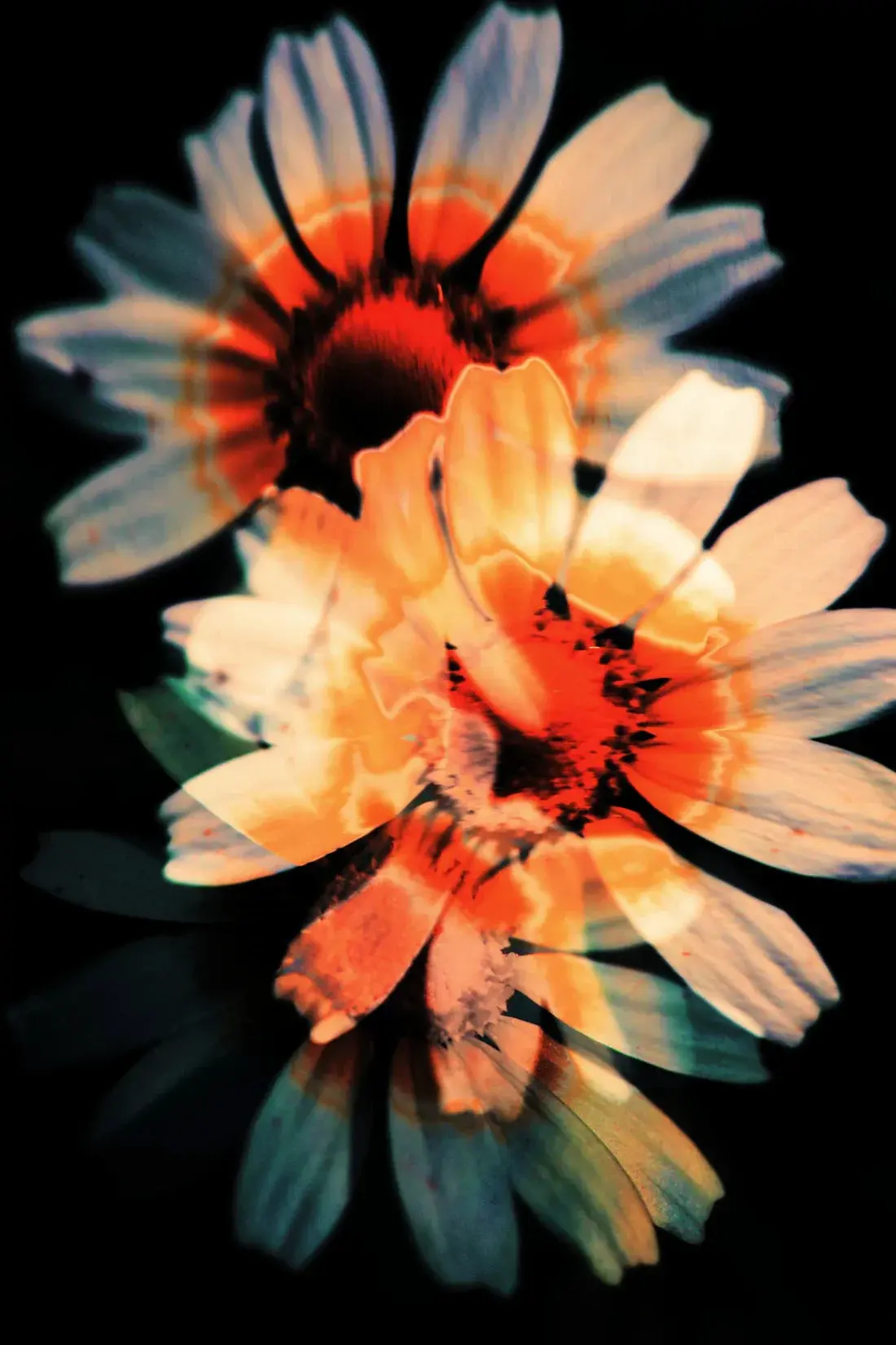 Double Exposure