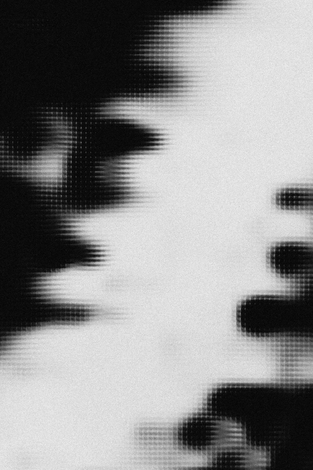 Veiled Portrait