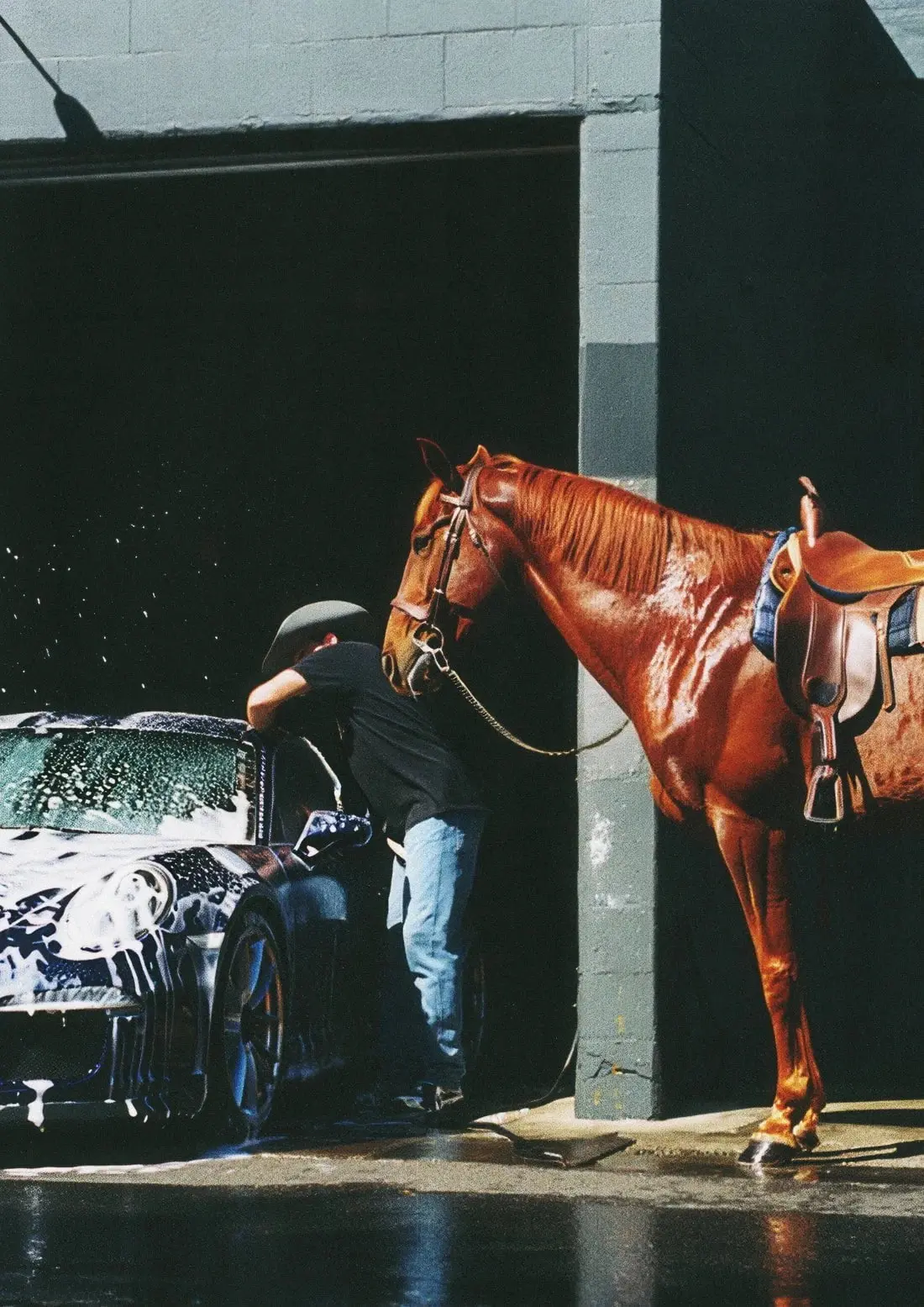 HORSEWASHING