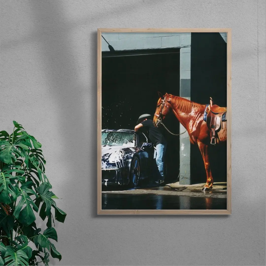 HORSEWASHING