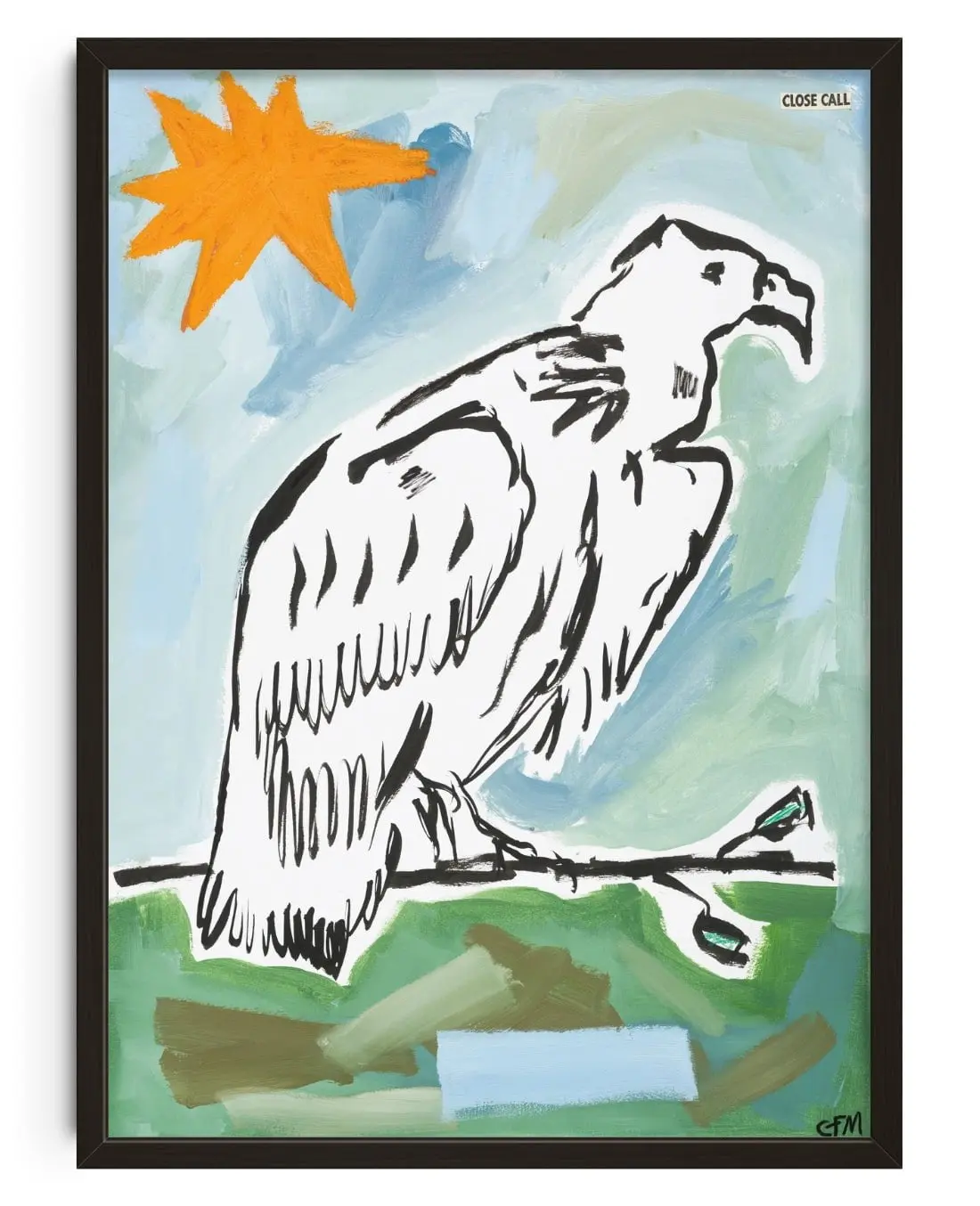 Vulture Watching