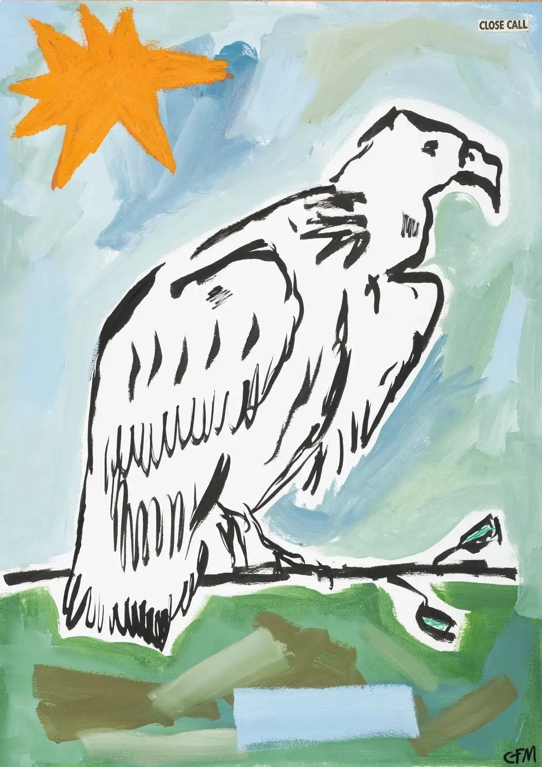 Vulture Watching