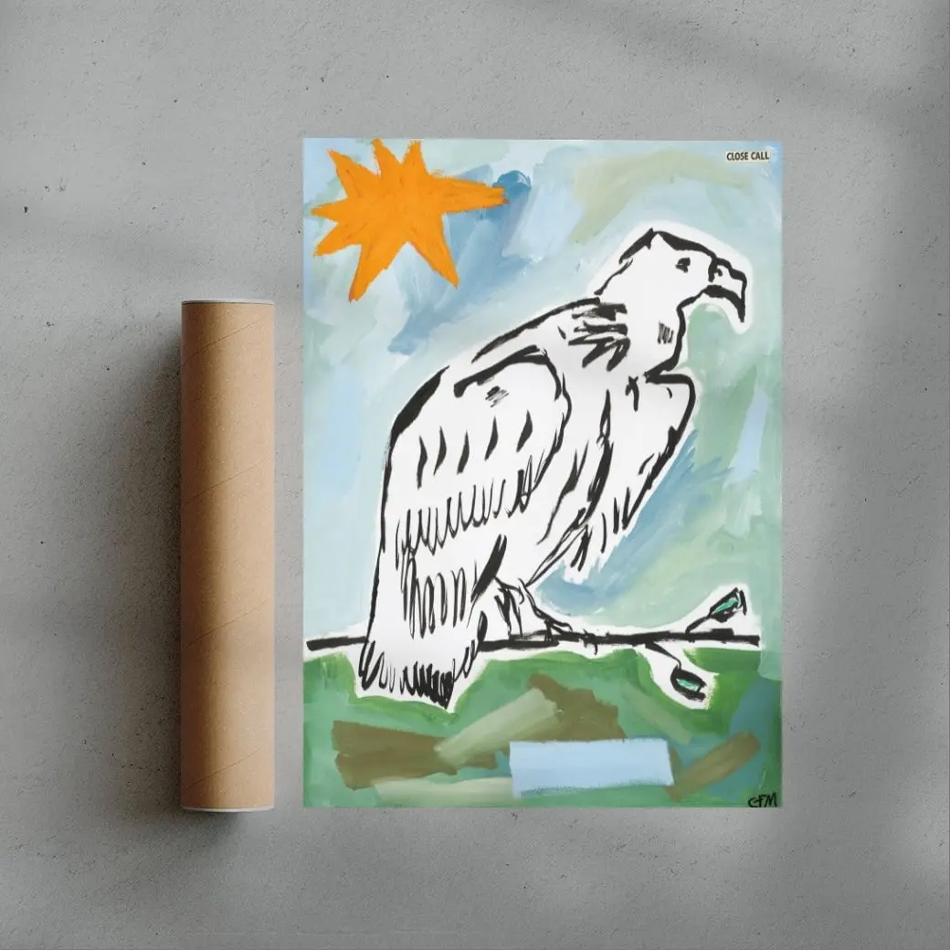 Vulture Watching