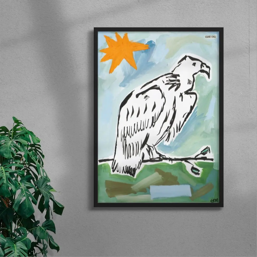 Vulture Watching