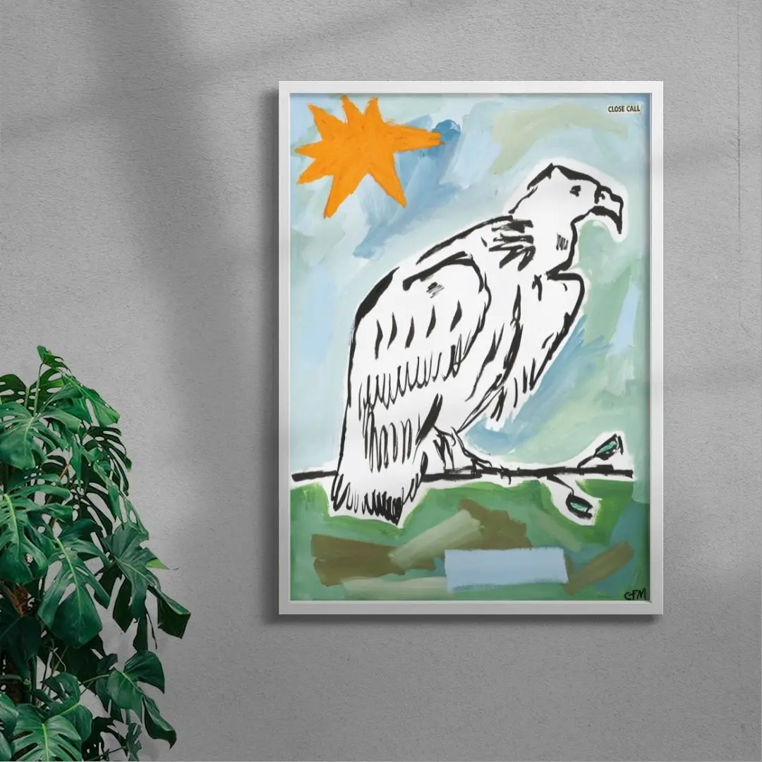 Vulture Watching