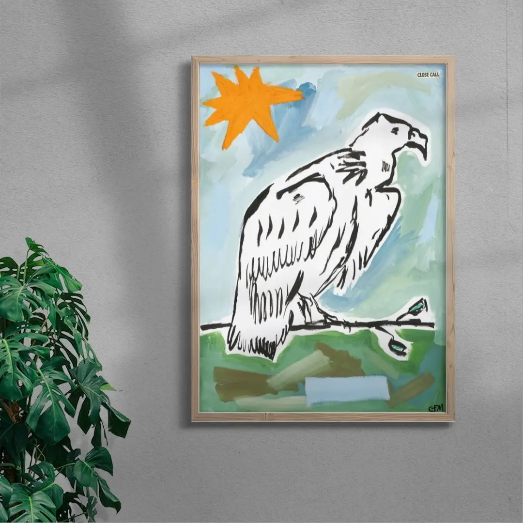 Vulture Watching
