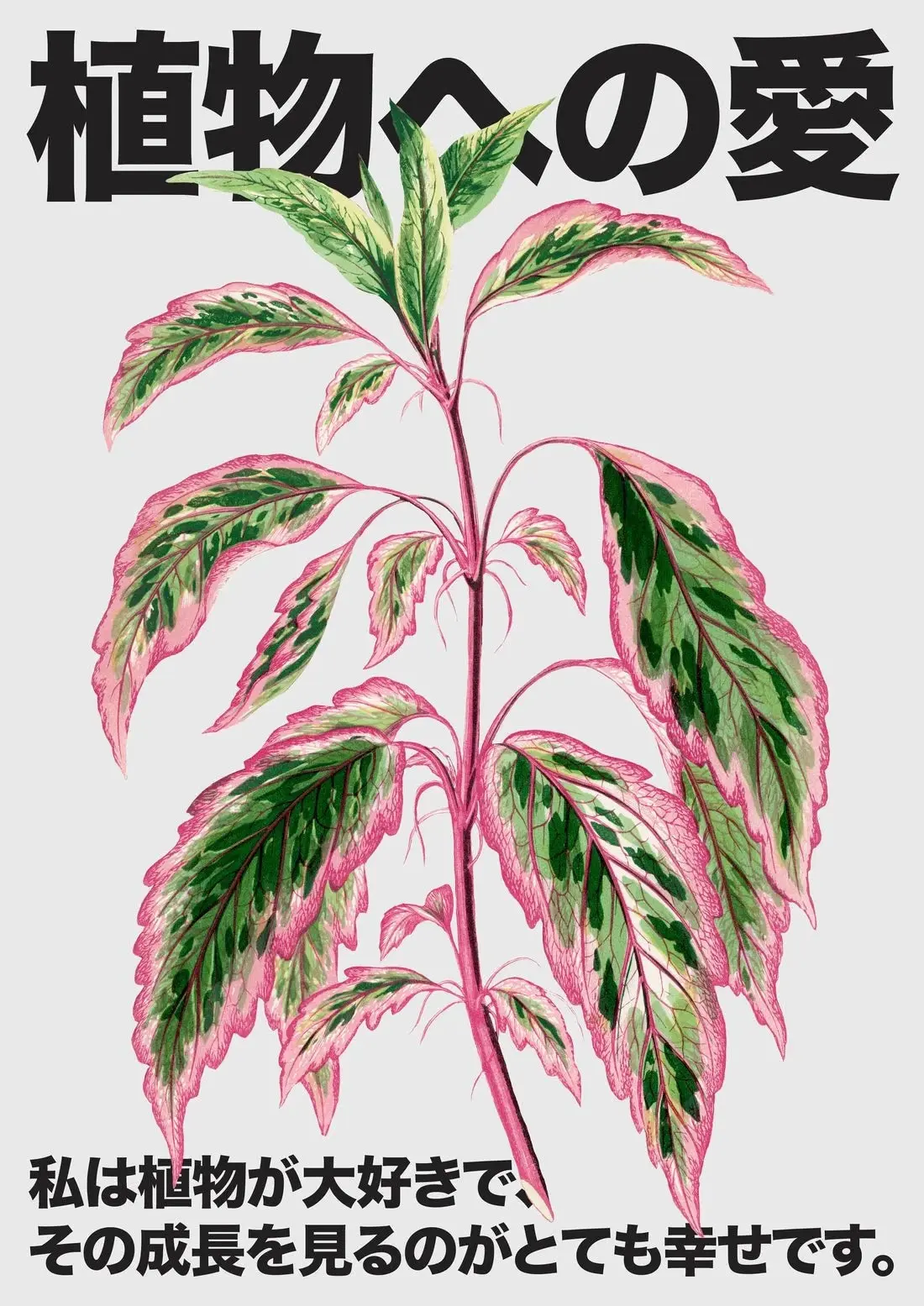 Plant Love