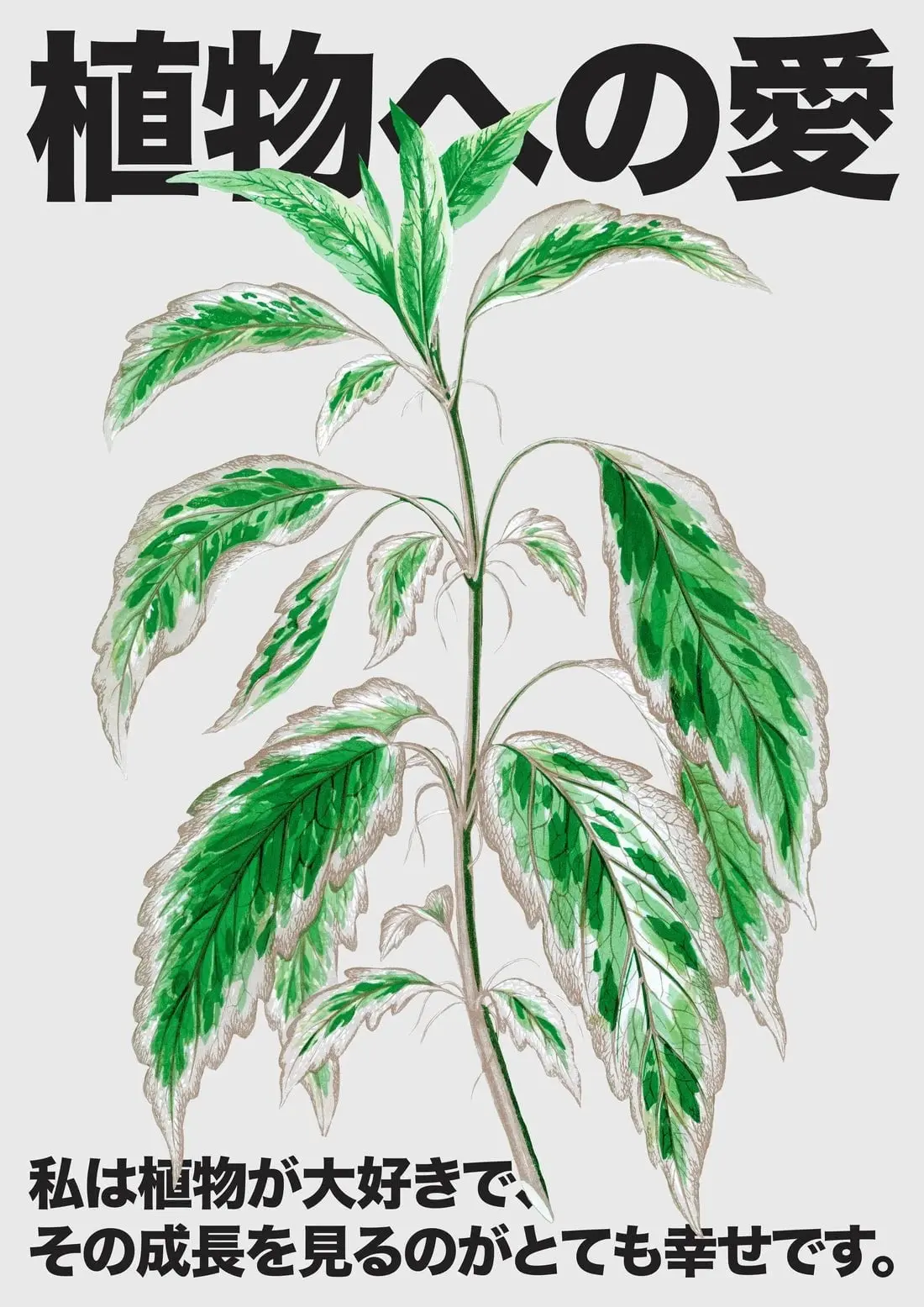 Plant Love 3