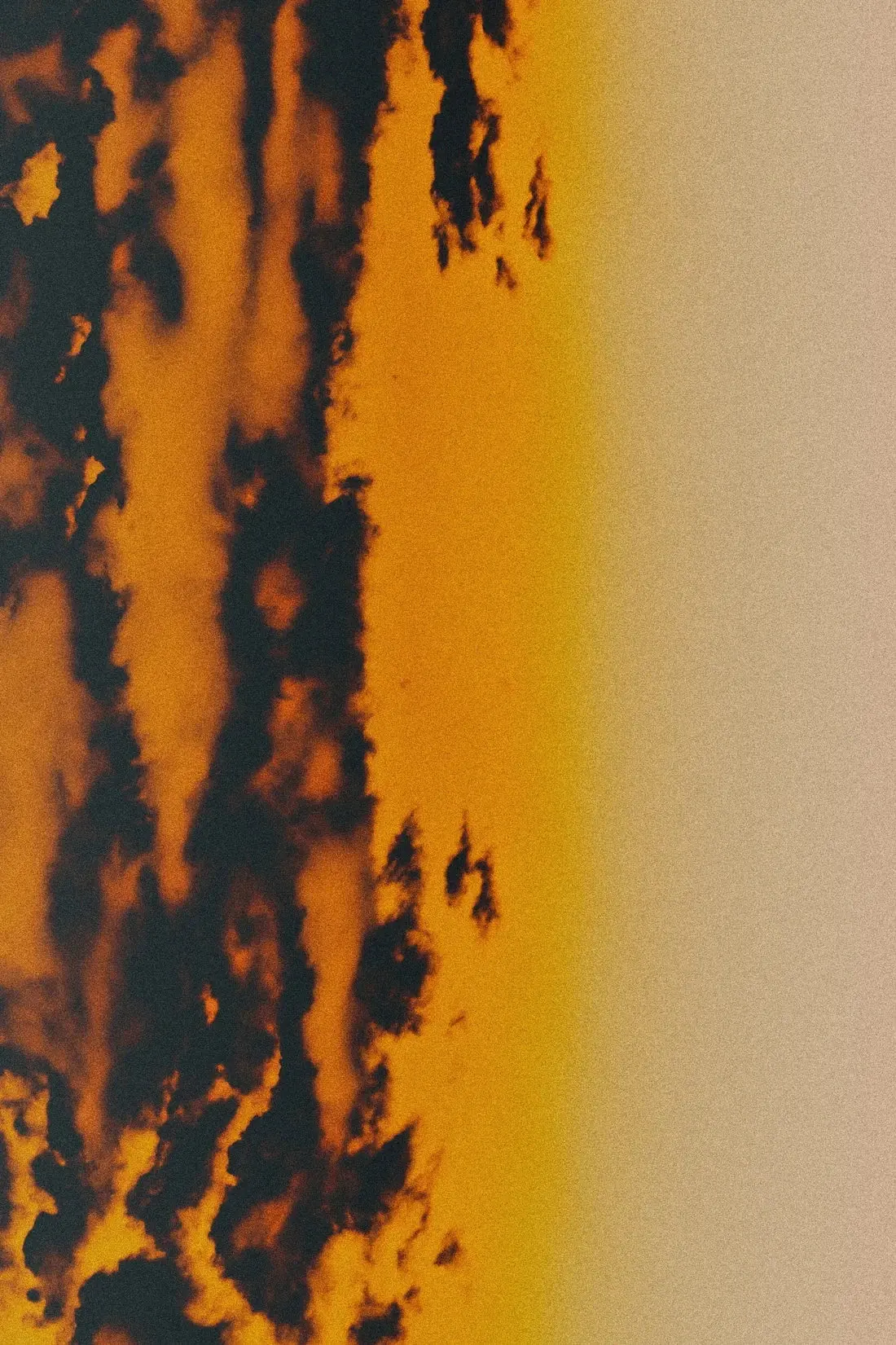 Ember