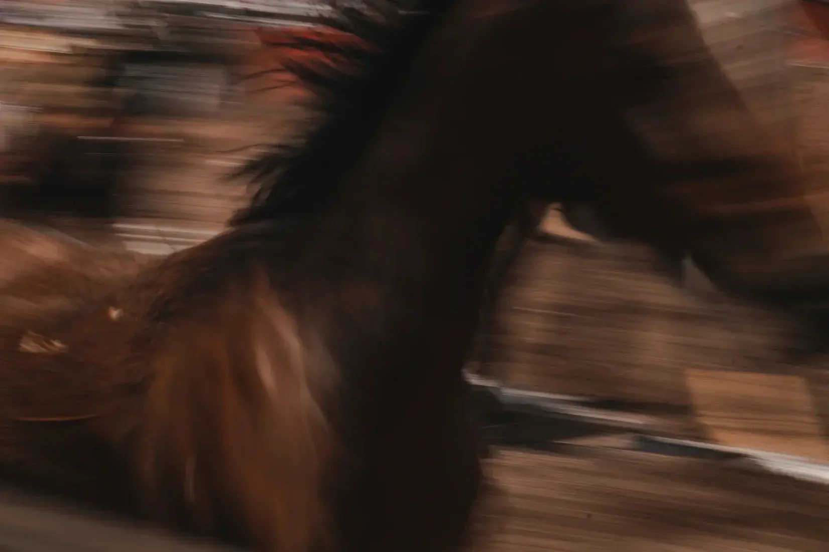 38955-ghost-of-speed-2.webp Ghost Of Speed