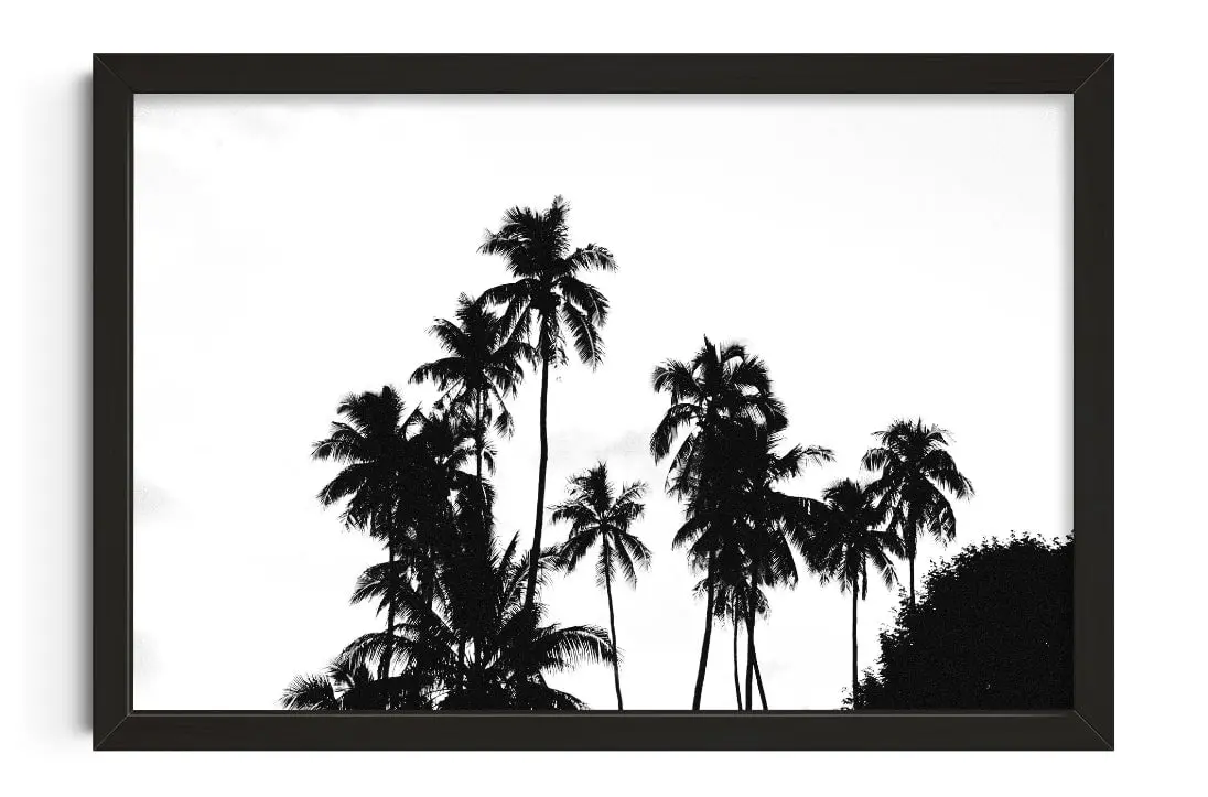 Palm Silhouettes