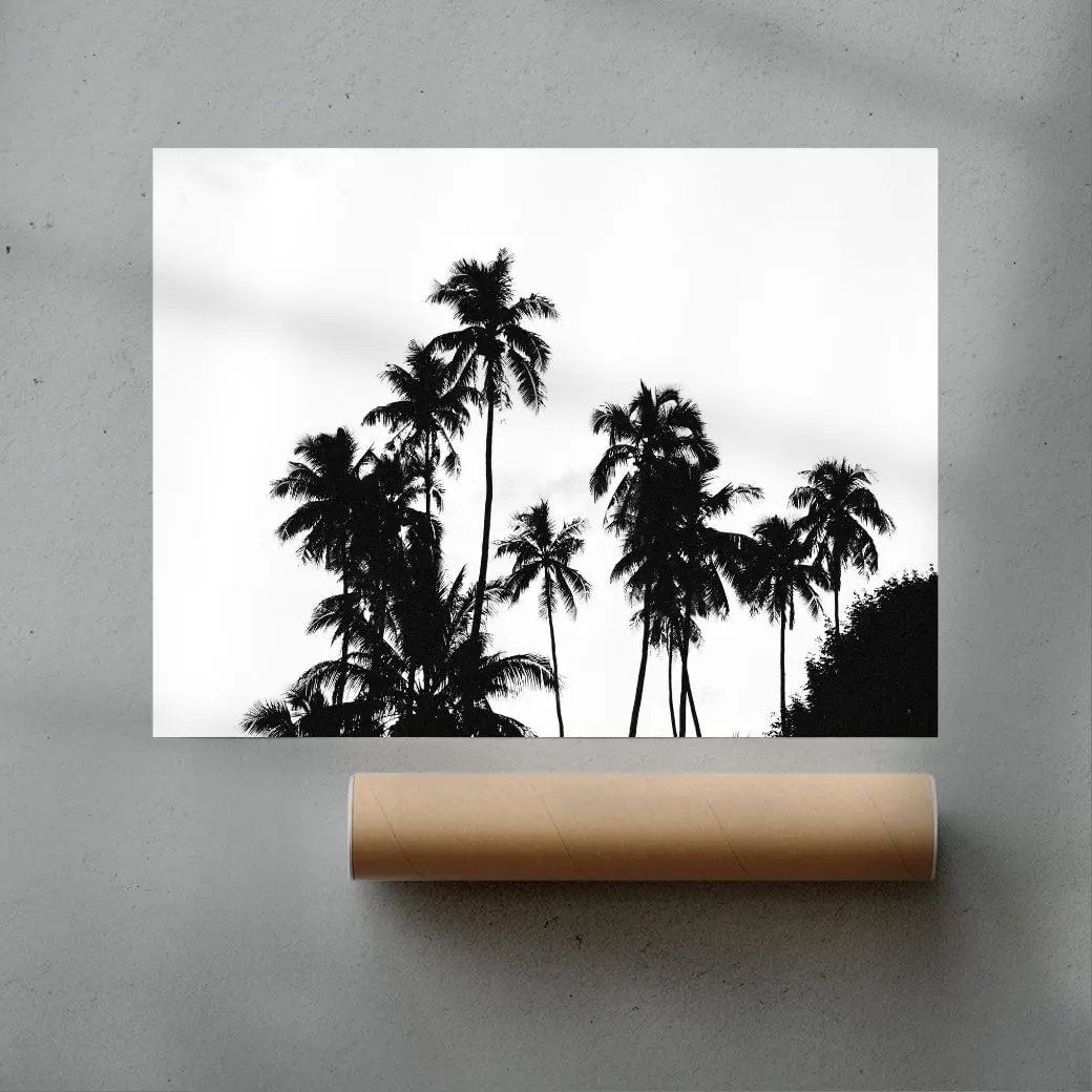 Palm Silhouettes