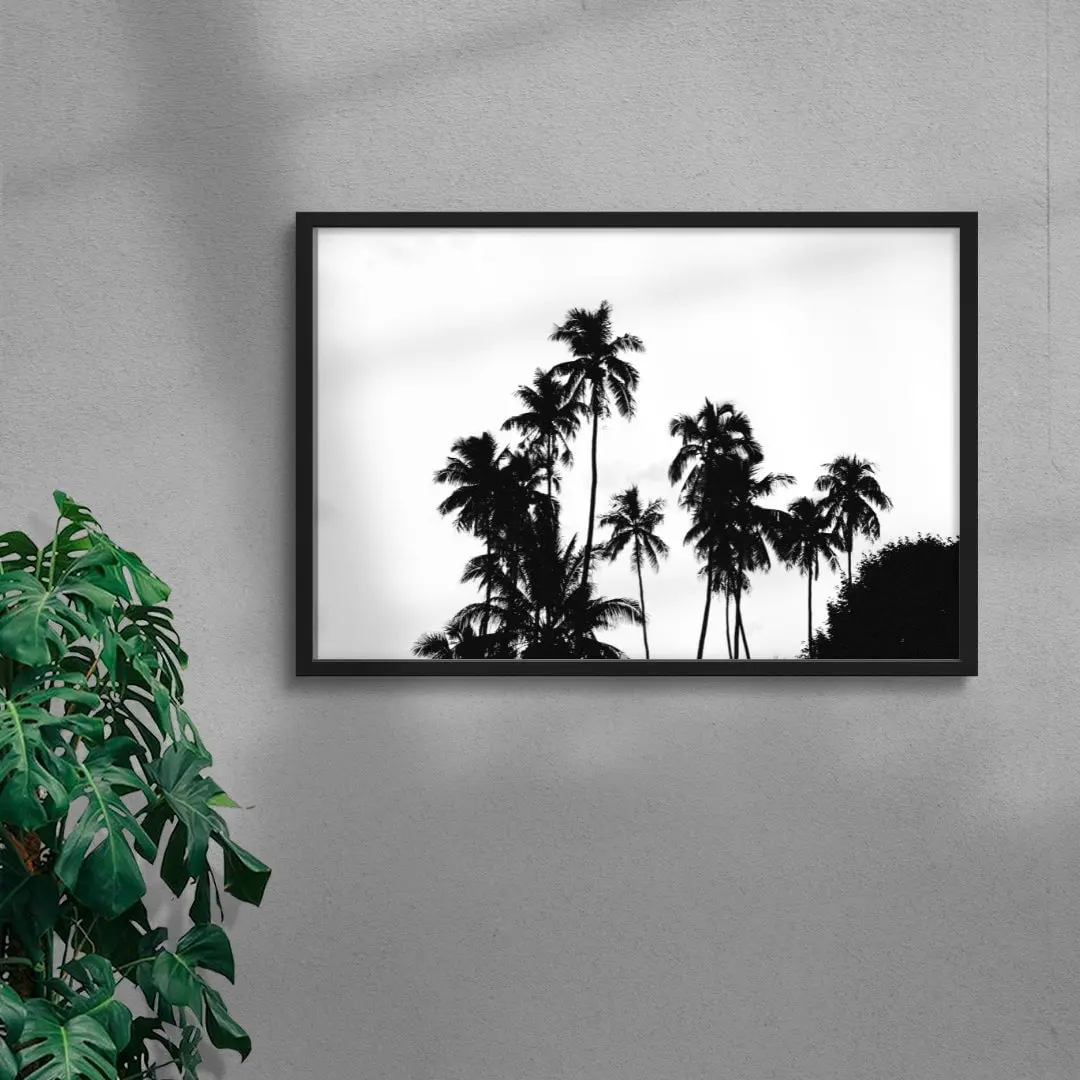 Palm Silhouettes