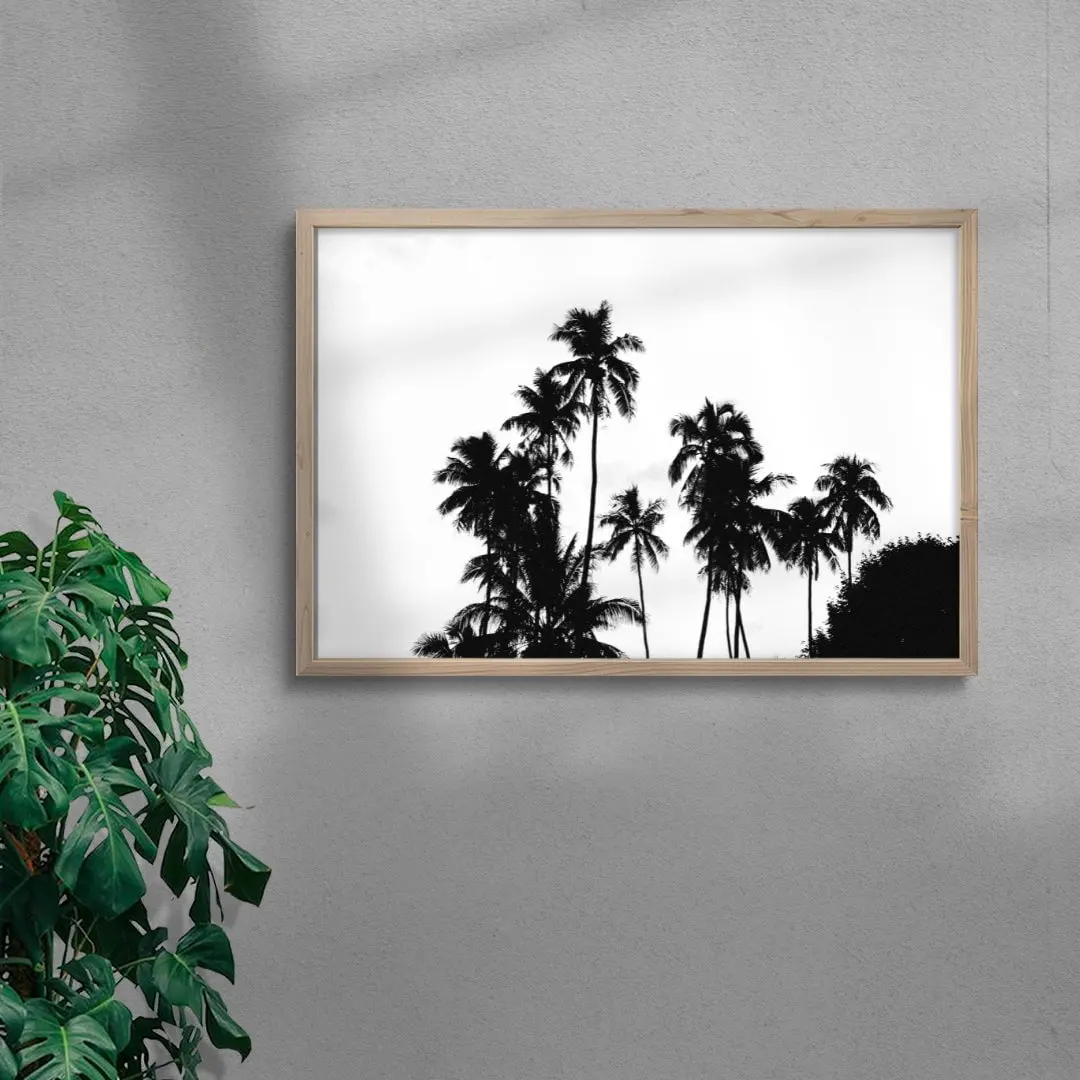 Palm Silhouettes