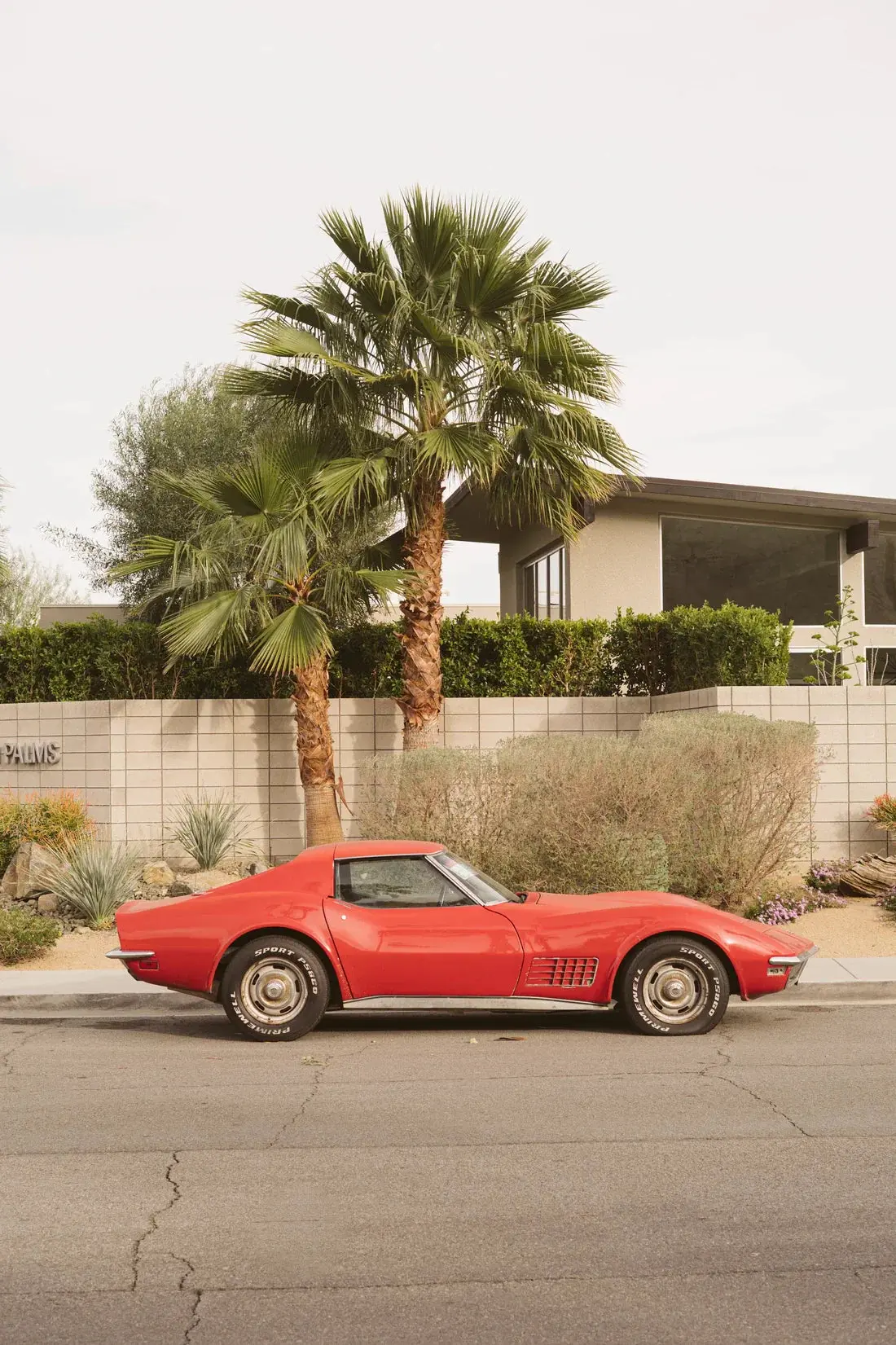 Corvette