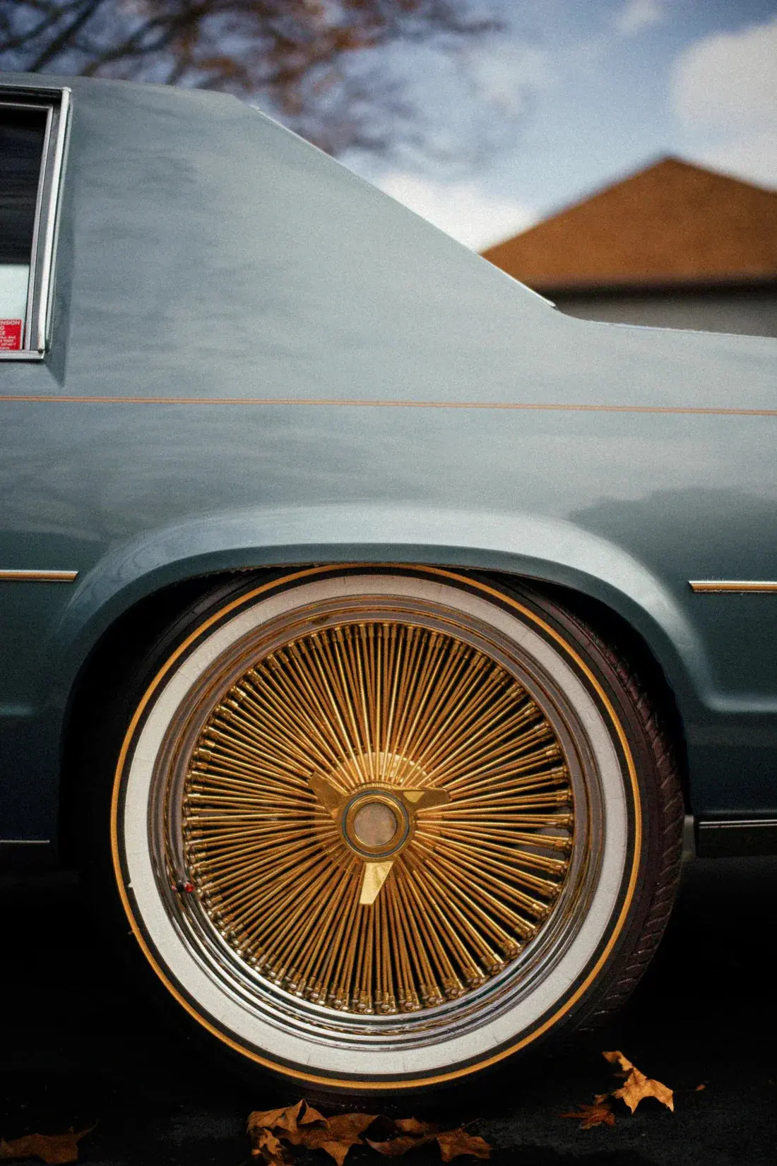 Golden Rim