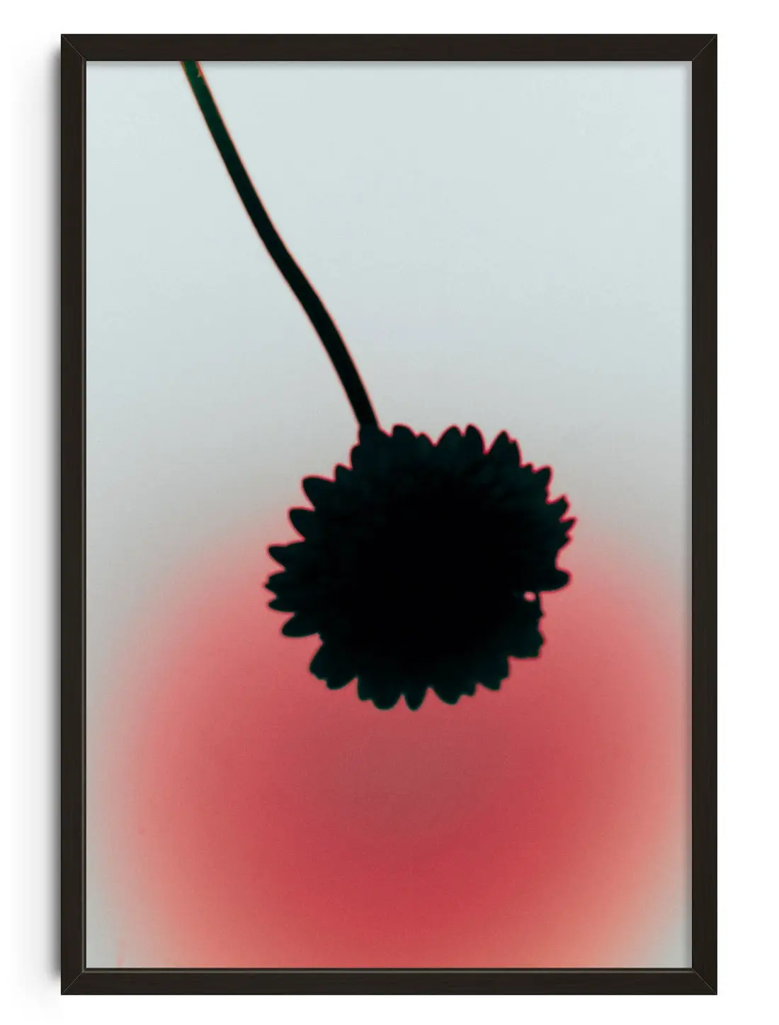 Flower Silhouette