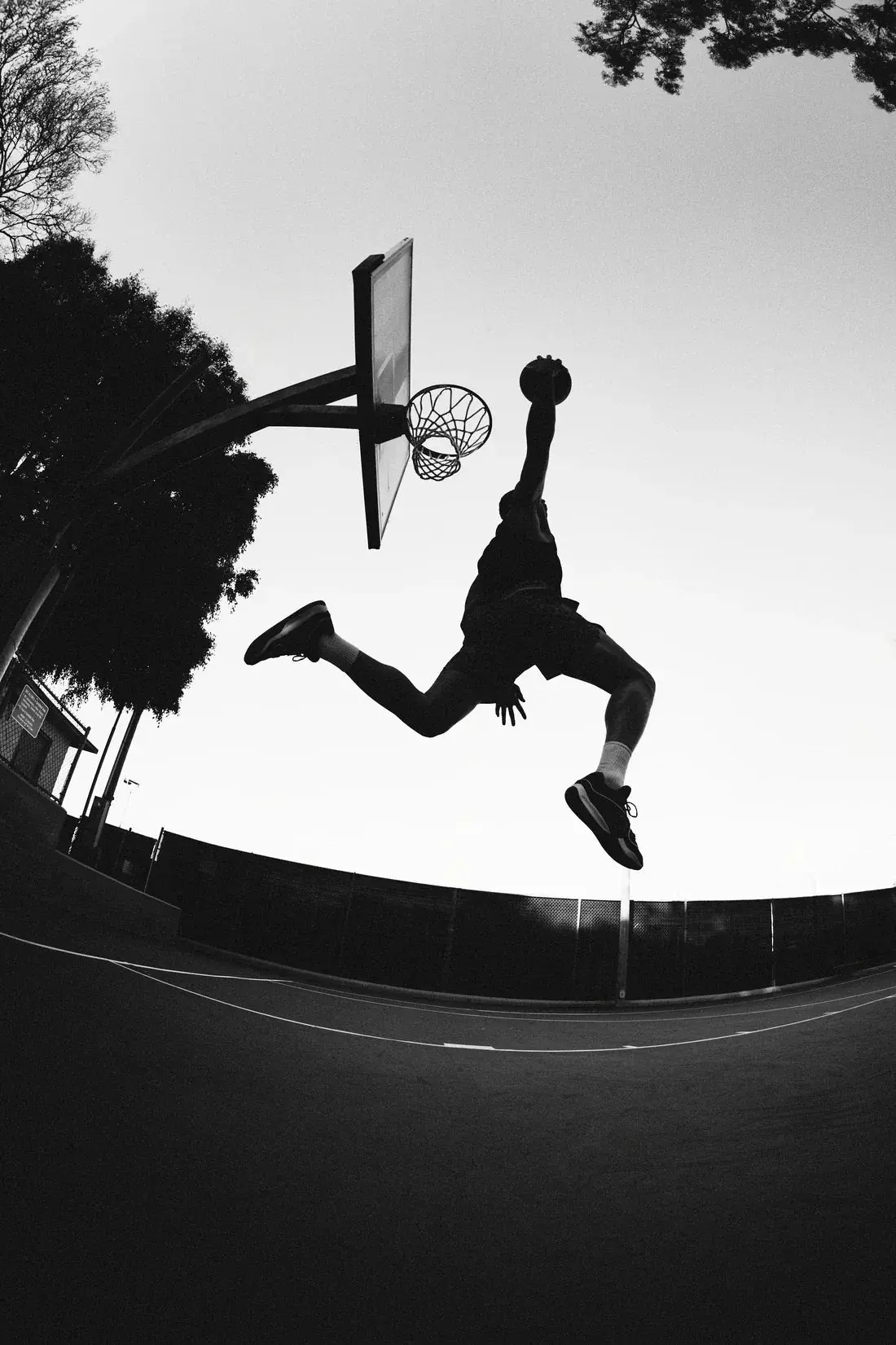Sky Dunk