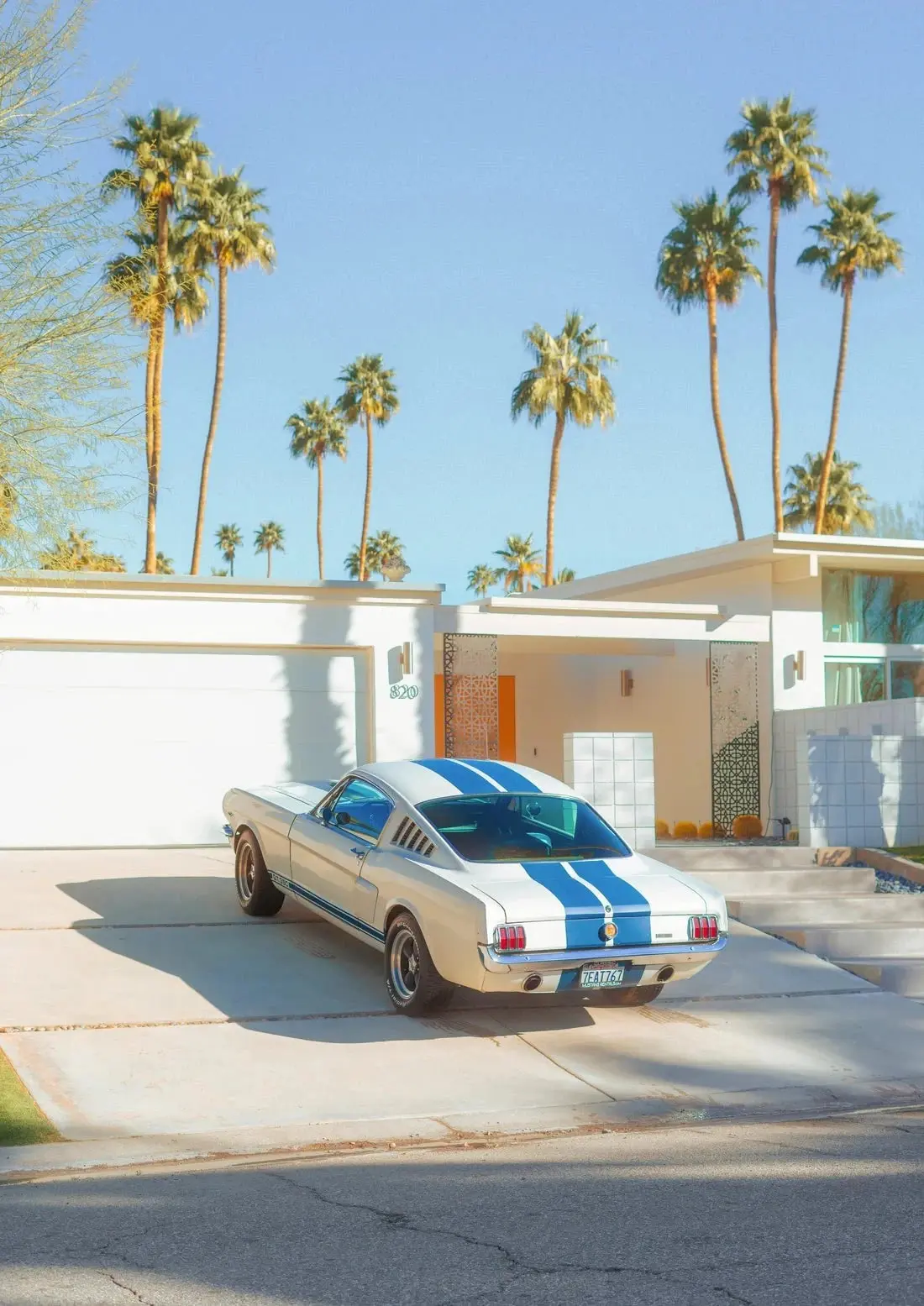 Mustang Paradise