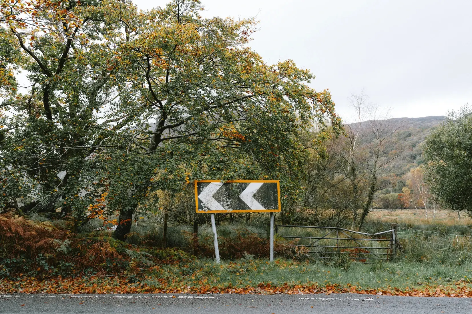 Turn Left