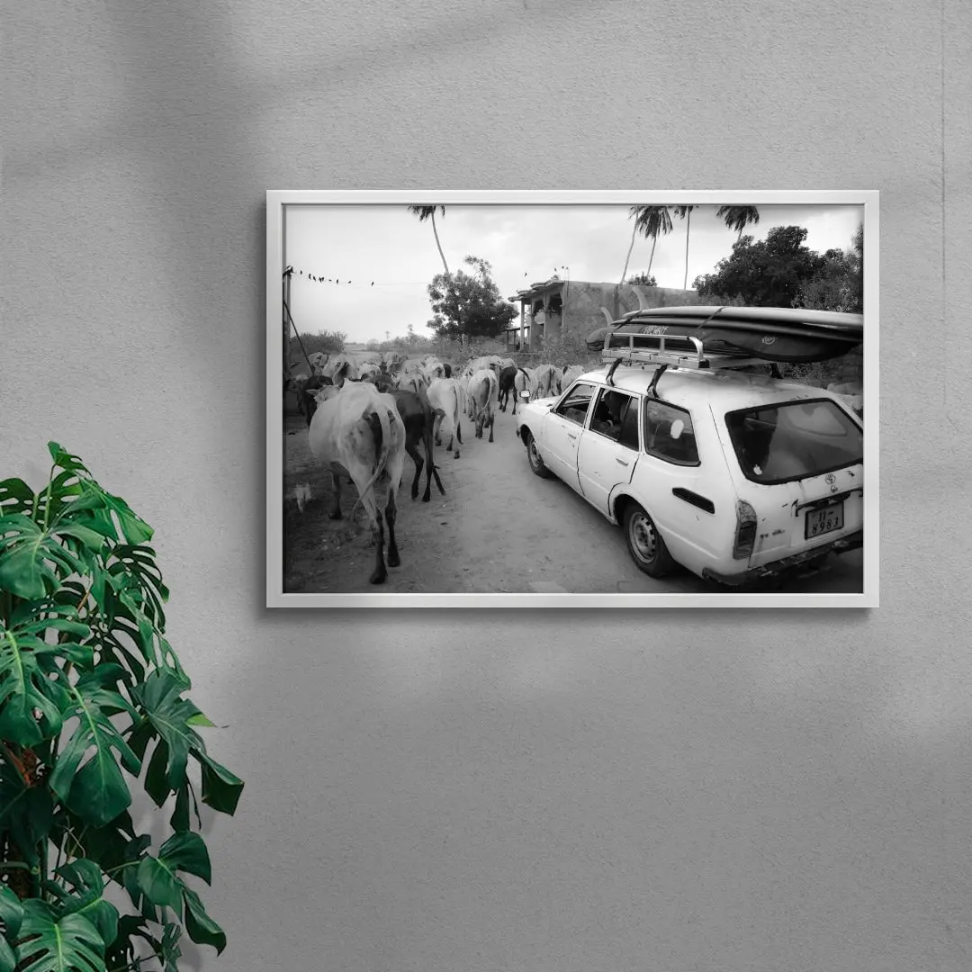 Jungle Traffic