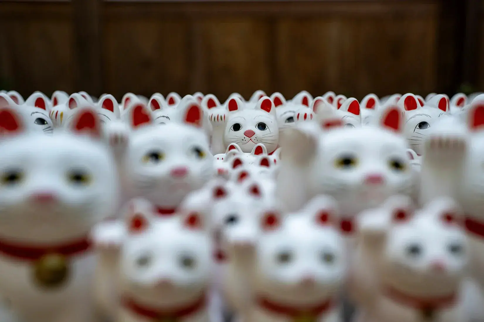 Lucky Cat Crowd