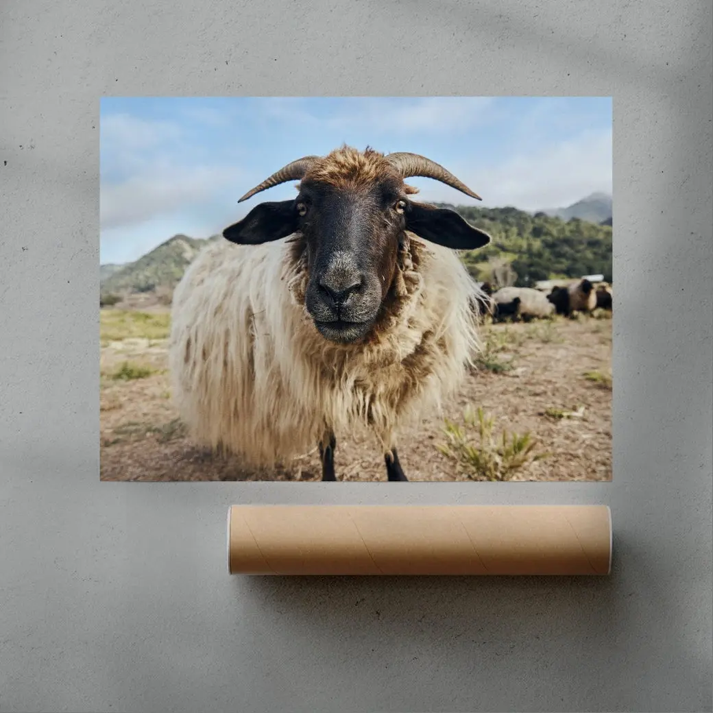 Ram Up Close