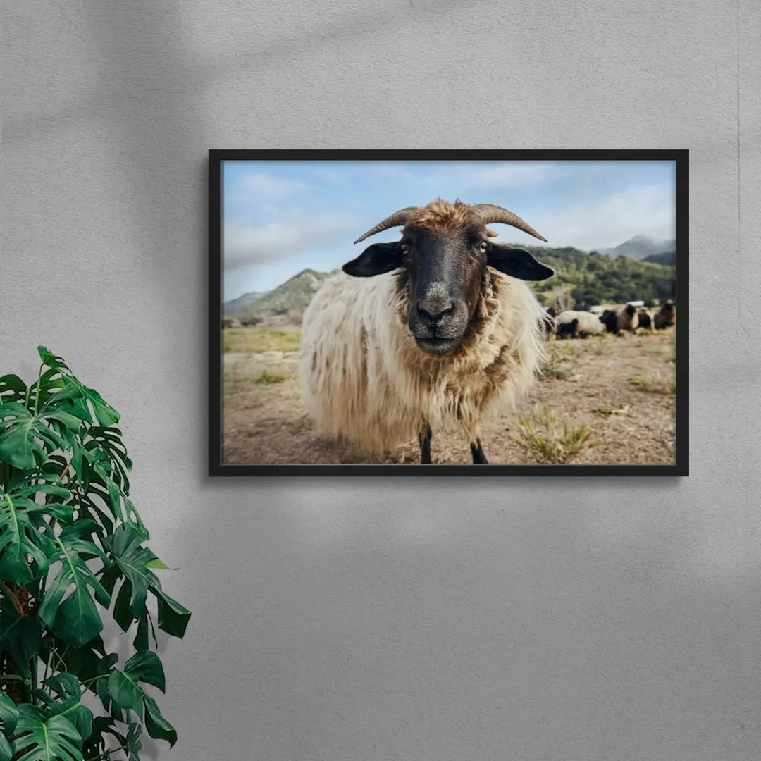 Ram Up Close