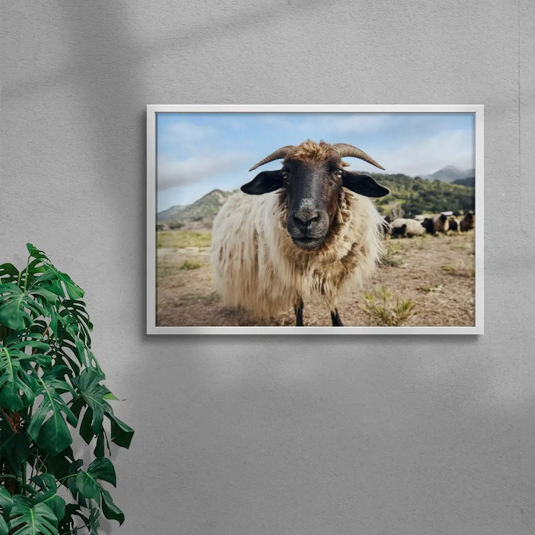 Ram Up Close