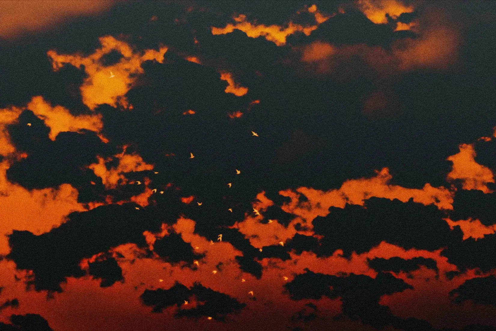 Red Sky