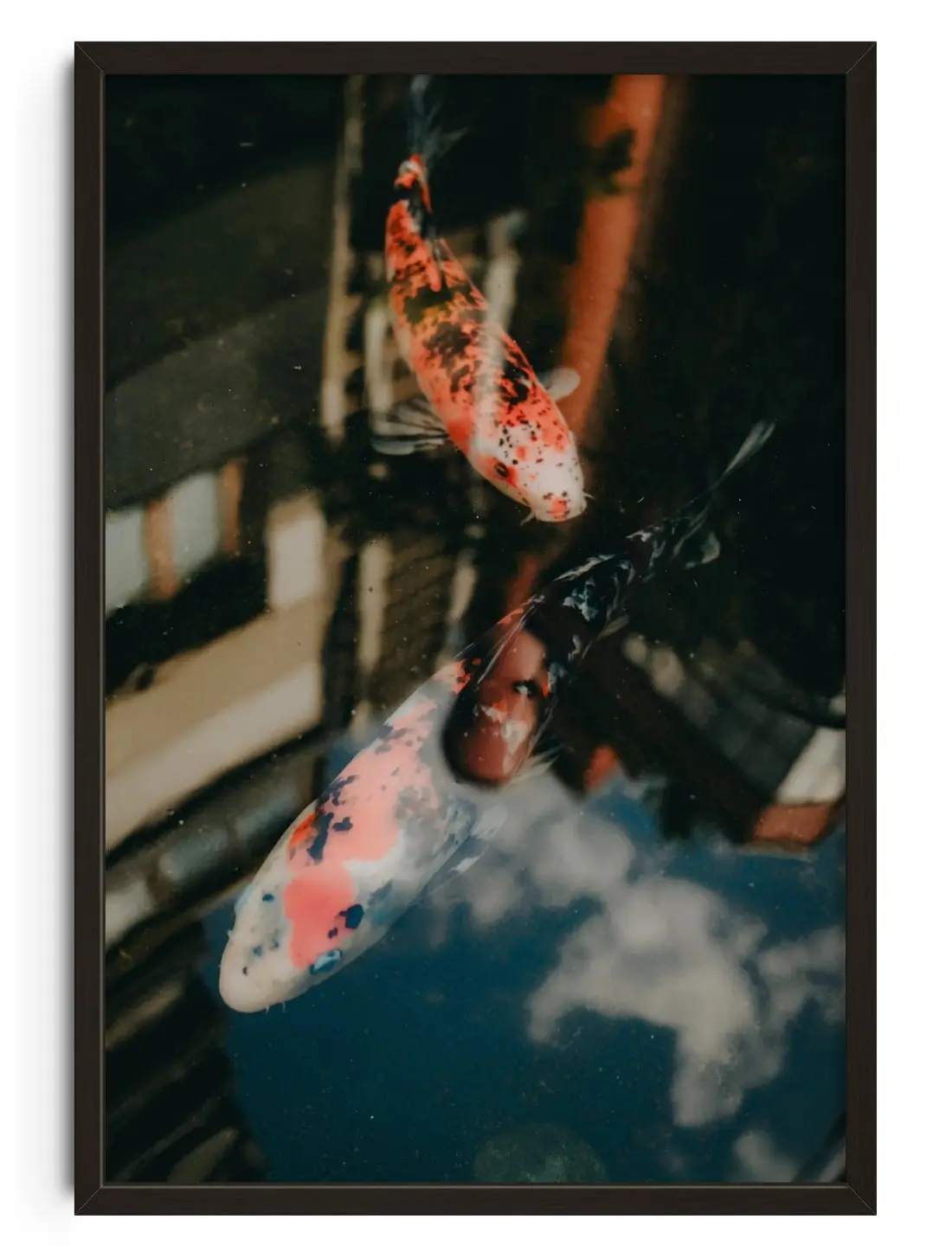 Koi Reflections