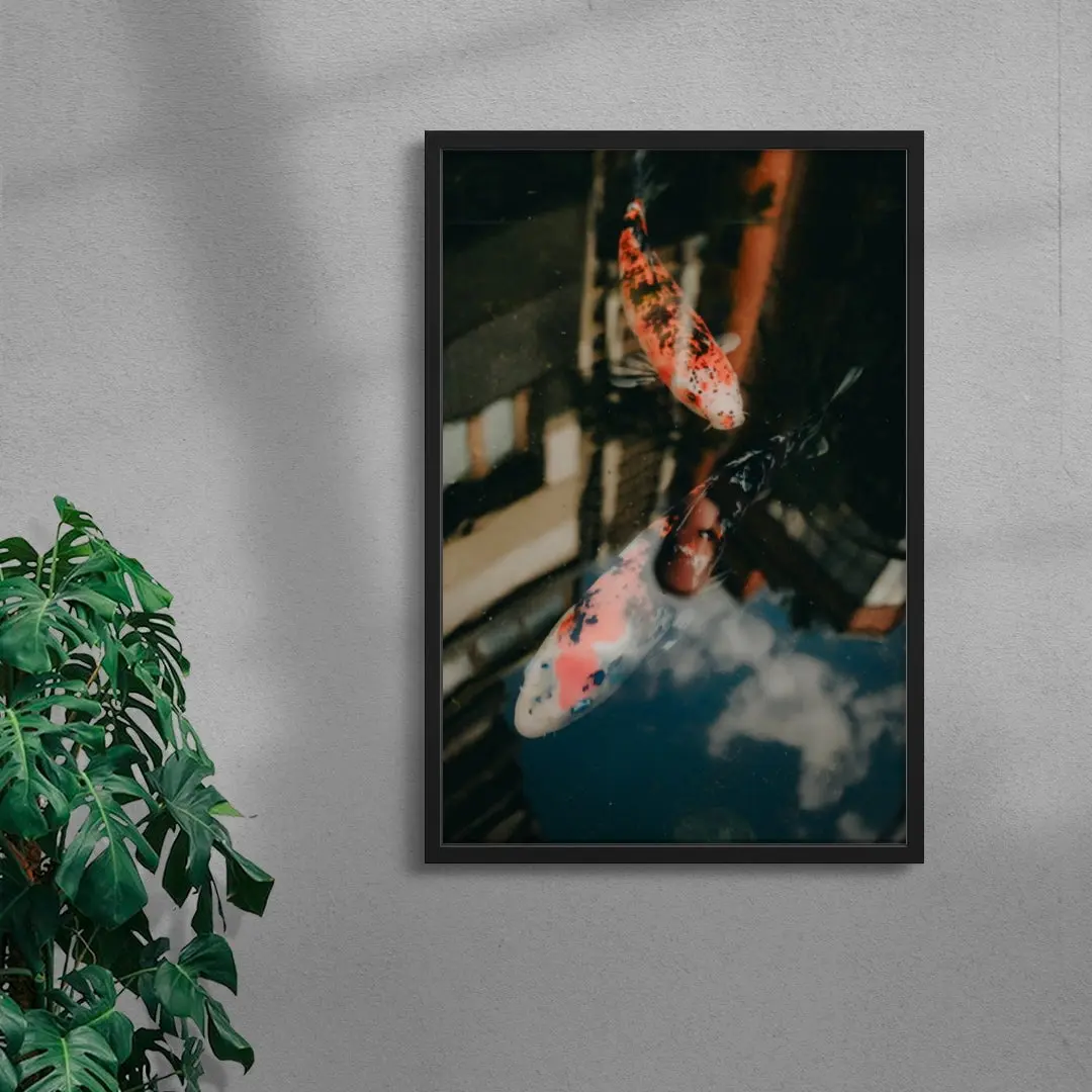 Koi Reflections