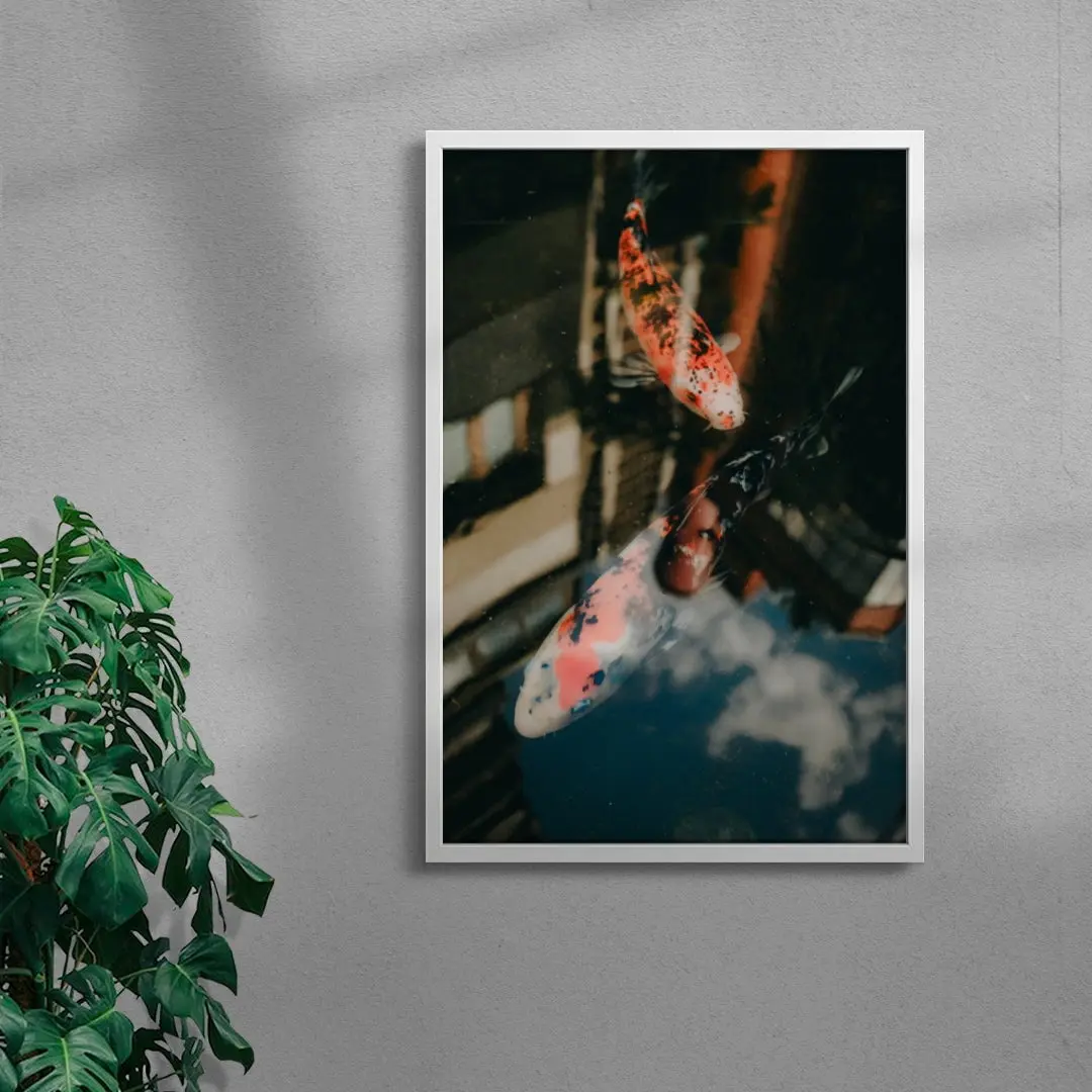 Koi Reflections