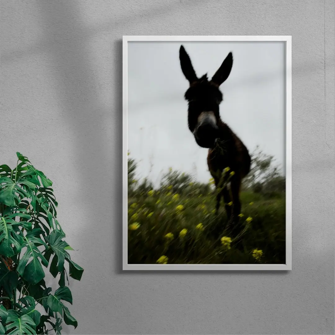 Morning Donkey