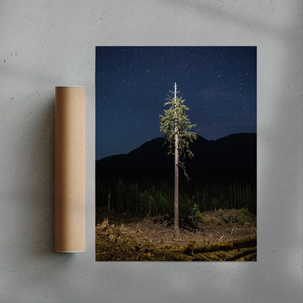 Lone Tree