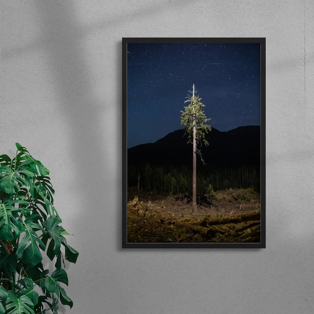 Lone Tree
