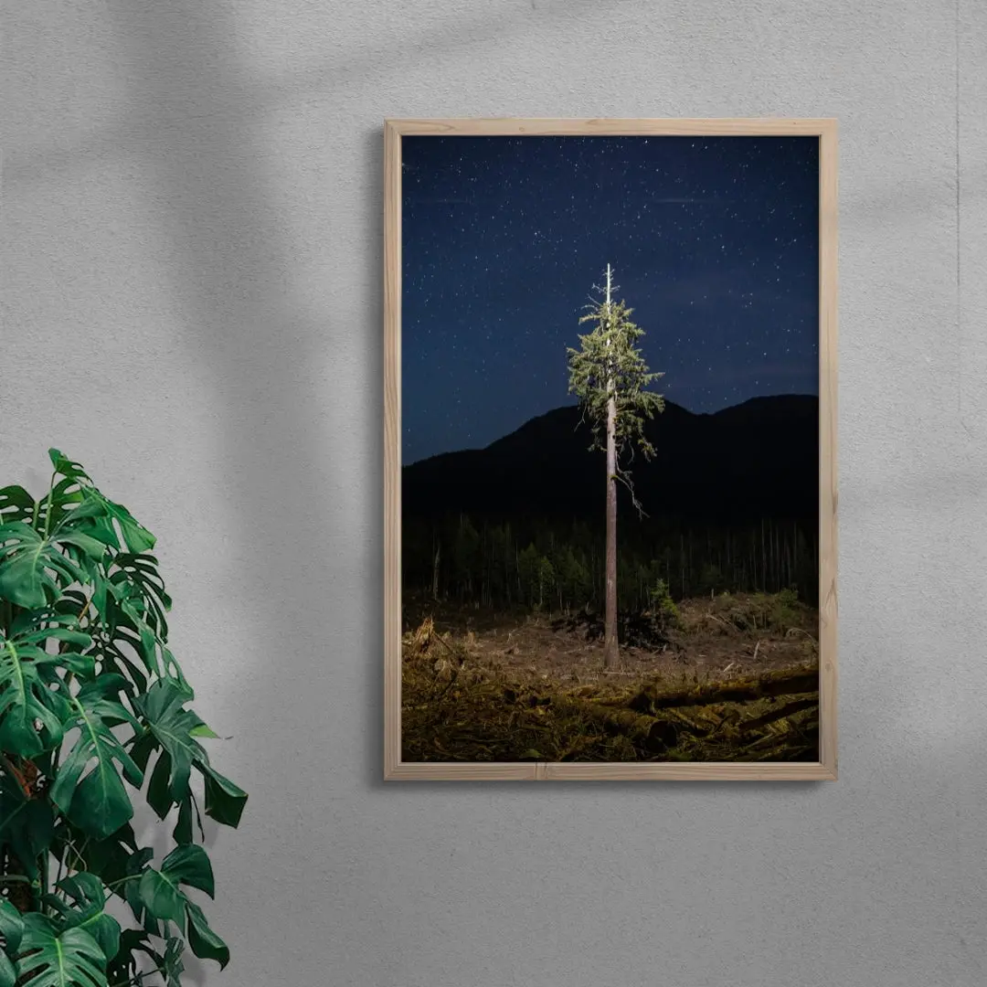 Lone Tree
