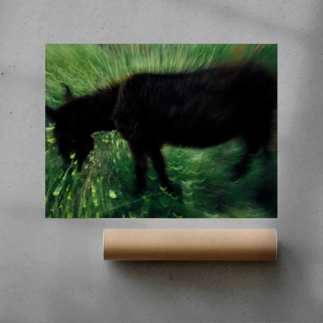 Grazing Donkey