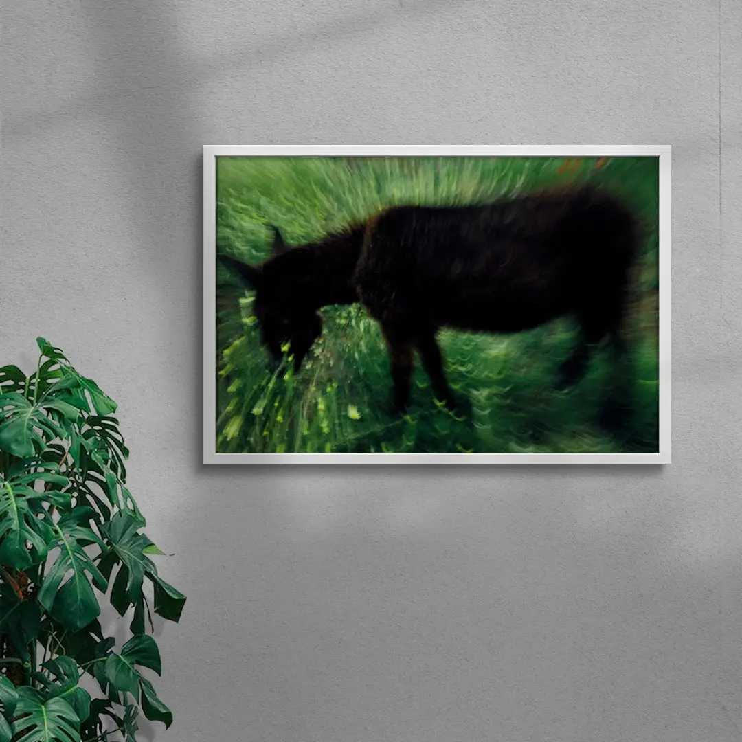 Grazing Donkey