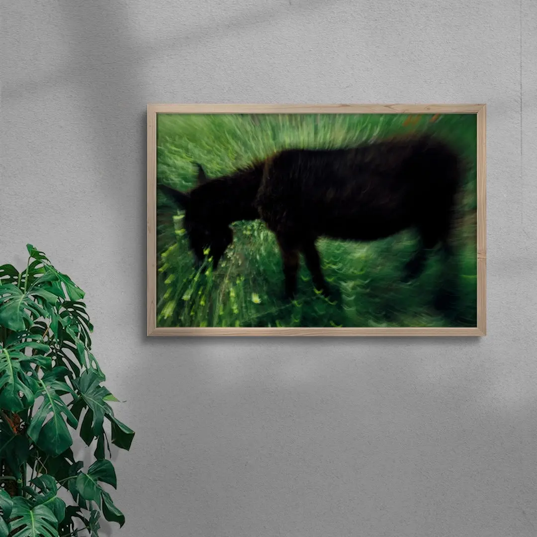 Grazing Donkey