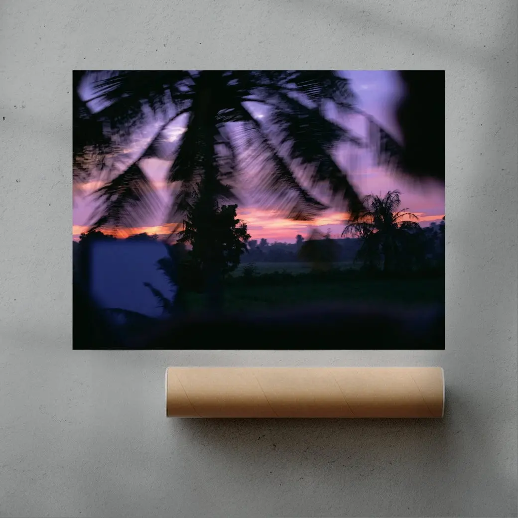 Palm Twilight