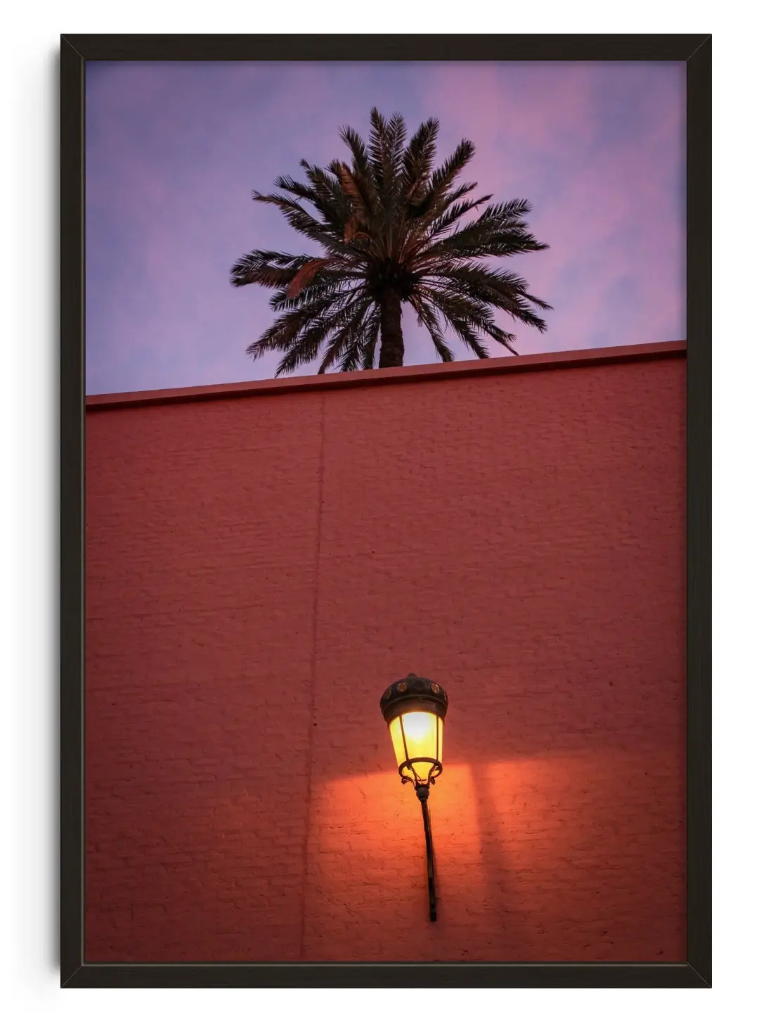 Night Palm