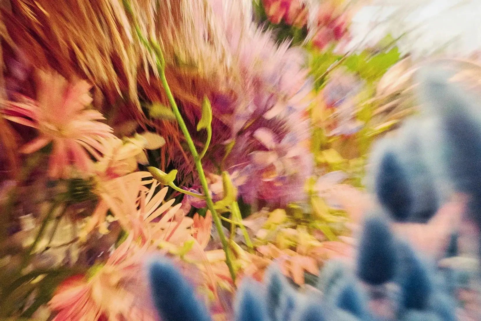 Floral Blur