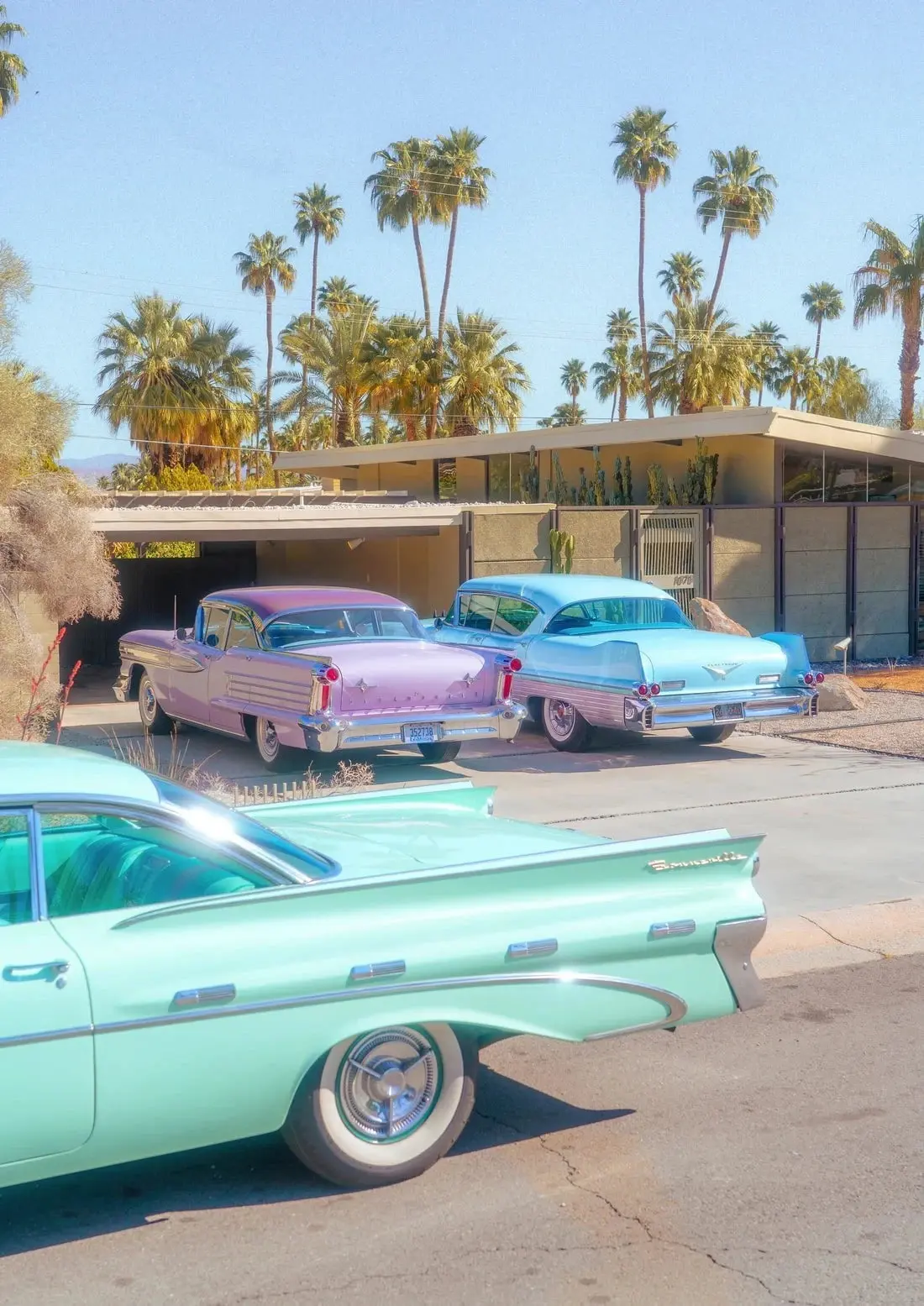 41044-palm-springs-paradise-2.webp Palm Springs Paradise
